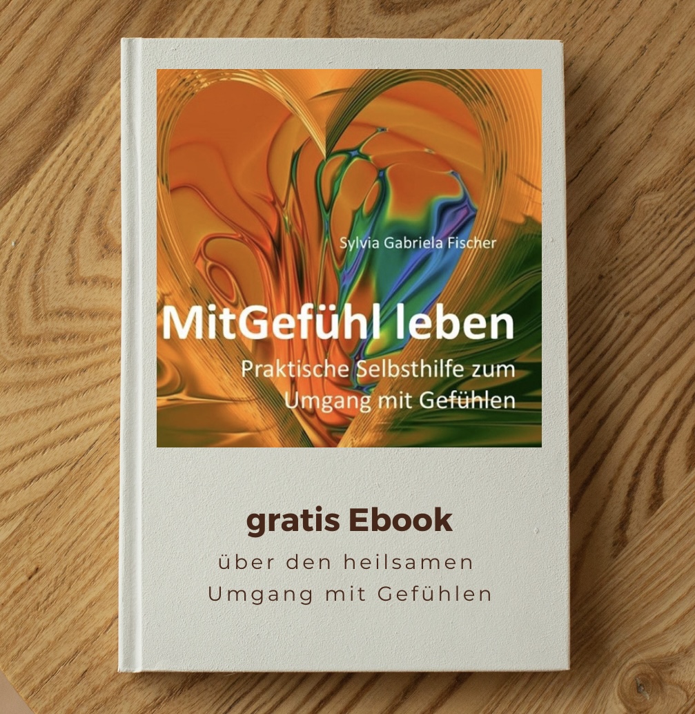 Buchcover Handbuch